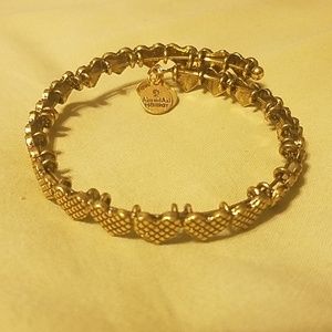 Alex and Ani Bracelet